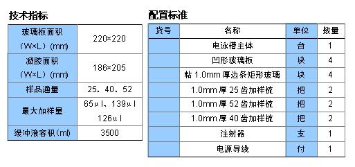 SSR擴(kuò)增電泳